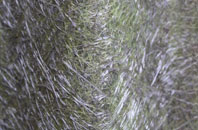 Trebles Holford fibreglass roof work